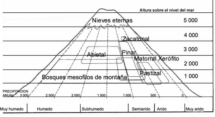 región, pues los extremos en el Norte y Sur de su distribución corresponden al estado de San Luis Potosí en México y a la parte central de la Costa Atlántica de Brasil.
