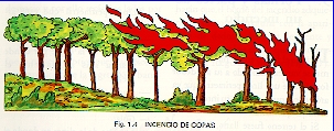 Incendios de copas Se propagan a través de las copas de los árboles siendo, los que avanzan mas rápidamente debido a que a esa altura el viento sopla con mas fuerza que a nivel de suelo.