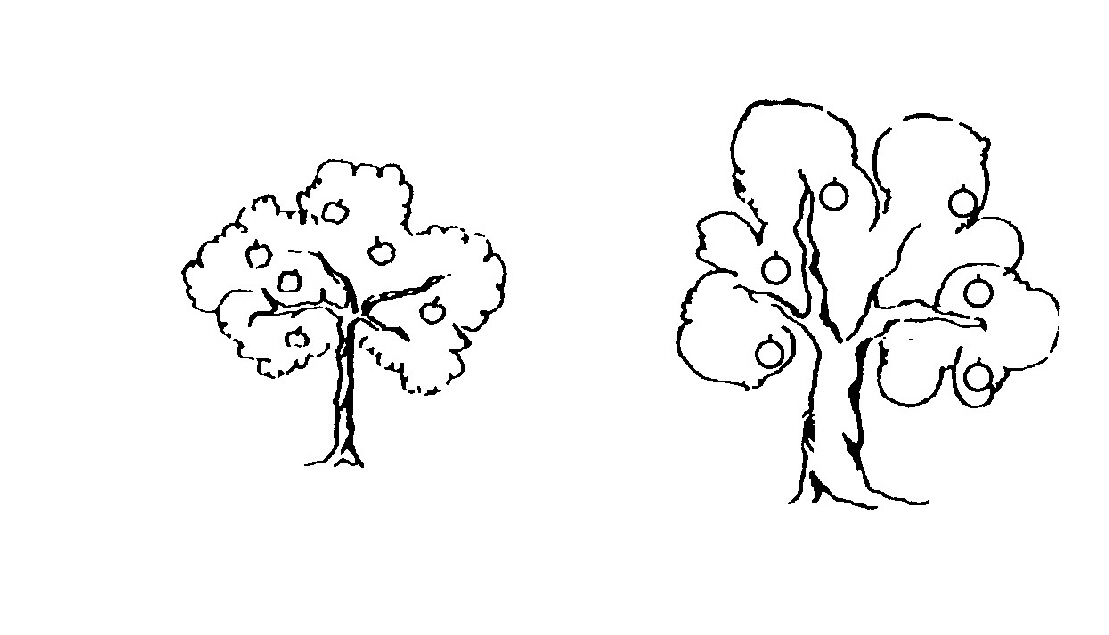 Figura 23 Supongamos que solamente los manzanos pueden entrar al cielo. En el día del juicio se presentan todos los árboles entremezclados: Cómo se sabe si un árbol es manzano o naranjo?