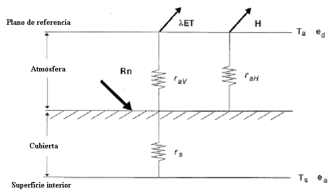 La resistencia aerodinámica (r a ) al transporte de calor sensible y latente desde la cubierta vegetal representa la resistencia a la transferencia turbulenta de vapor de agua (r av ) entre la misma