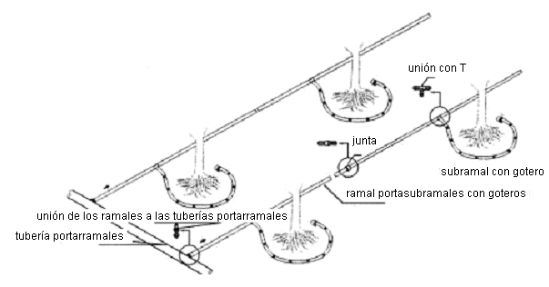 precipitaciones durante la época de riego). Fuentes: Toro e Irrimac (2003). Figura 7.27. Riego de frutales con subtuberías portagoteros en suelos de textura ligera.