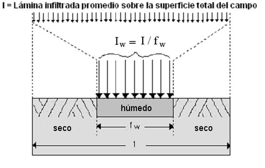 Fuente: Allen et al. (1998). Figura 2.12. Riego con humedecimiento parcial del suelo. 2.3.4.