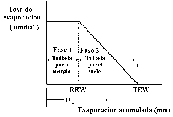 Fuente: Allen et al. (2003a). Figura 2.13. Aproximación bifásica de la evaporación de agua del suelo.