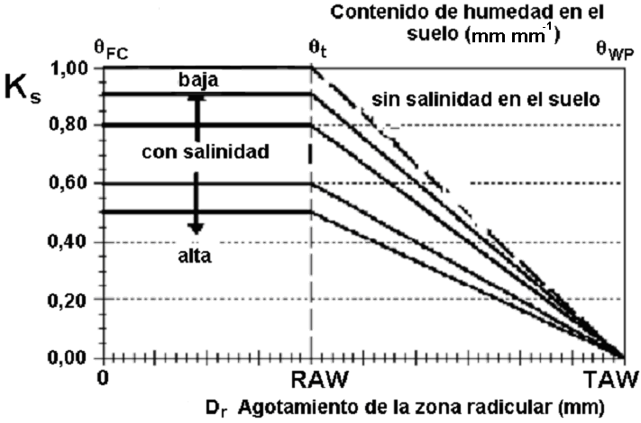 extracto de saturación en la zona radicular (dsm -1 ); y ECe umbral, es la conductividad eléctrica del extracto de saturación, correspondiente al umbral de ECe, cuando el rendimiento del cultivo