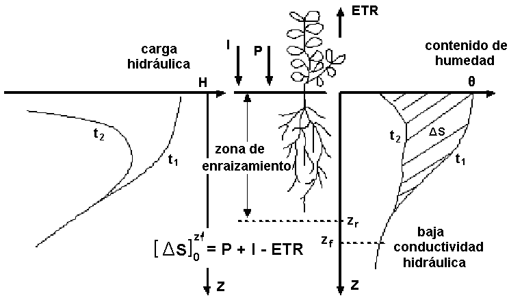 Fuente: Fernando (1998). Figura 3.9. Esquema del balance hídrico en el intervalo entre los instantes t 1 y t 2 cuando se pueden despreciar los flujos de ascensión capilar y de percolación (Ec. 3.3).