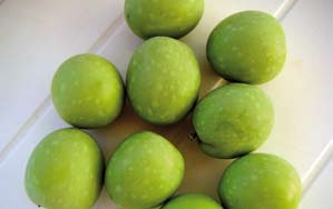 Manzanilla de Sevilla: es la variedad de olivo de mesa más difundida internacionalmente debido a su productividad y calidad del fruto.