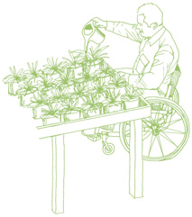 Descripción general La jardinería y los viveros son sectores que emplean a un buen número de personas con discapacidad.