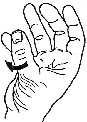 EL PULGAR Objetivos: - Describir la estructura de las articulaciones del pulgar. - Demostrar los movimientos posibles en sus articulaciones y sus relaciones con el resto de la mano.