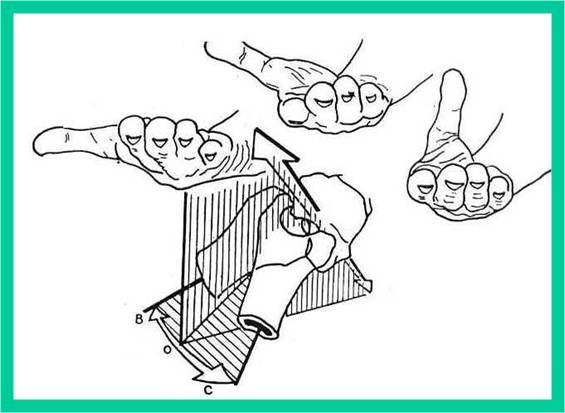 - Entre la cara inferior del trapecio y el extremo superior del primer metacarpiano, es una articulación en silla de montar o de encaje reciproco, con dos ejes y dos grados de libertad de movimiento,