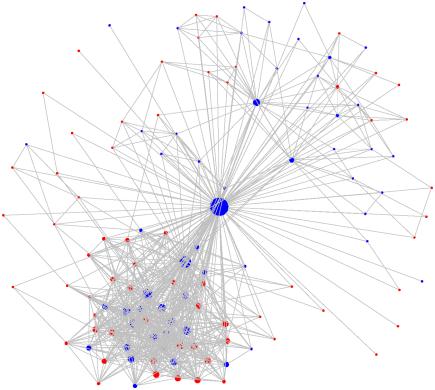 de ego-network de un hombre Estas imágenes son ejemplos de cómo se representan las redes de amigos mediante ego-networks de dos usuarios (tomados al azar): En el centro del grafo se encuentra el nodo