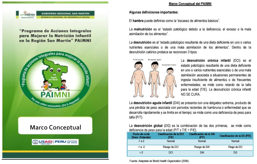 Appendix 4: PAIMNI Conceptual Framework