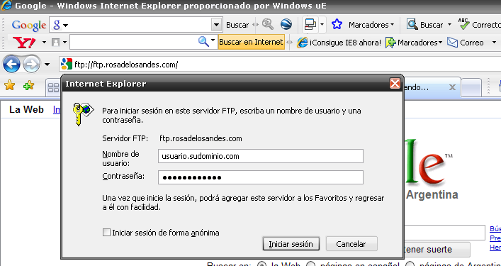 La segunda forma de ingresar al FTP es desde los buscadores (Explorer, Mozilla, etc). En ellos deberá colocar en la barra de dirección: ftp://ftp.sudominio.