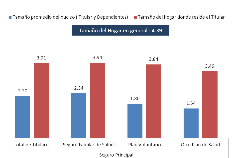 4.3.2 Tamaño poblacional del hogar y del núcleo de la población afiliada.