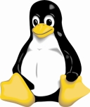 Líder en ambientes Windows/Linux/Unix Primera tarjeta serial multipuertos manufacturada para recibir la