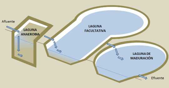 Laguna facultativa TERCIARIO Laguna de maduración Guía