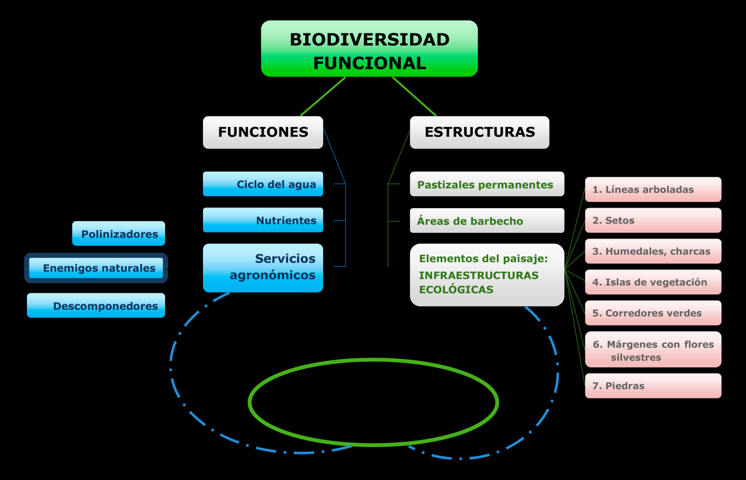 Imagen 1: Servicios ambientales prestados por los agroecosistemas, entre ellos el control biológico natural de las plagas Sin embargo, la biodiversidad por sí sola no garantiza un mejor control de
