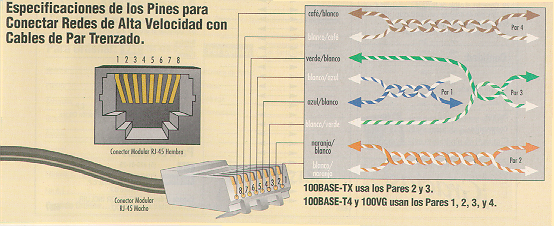 ESPECIFICACIONES DE CONECTORES Conector RJ 45 Este conector es el que ha brindado un gran empuje a estas redes, pues es muy sencillo conectarlo a las tarjetas y a los hubs (que comentaremos un poco