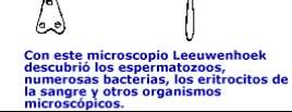 El primitivo microscopio de Antony van Leeuwenhoek, que en realidad eran dos lupas combinadas con las que llegó a alcanzar 260 aumentos.