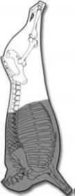 Figura 5.Lomo de res. La pierna (piña) o round. Se produce después de retirar el lomo y la falda. La falda o flank. Figura 6. Pierna de res. Chamberete trasero o hindshank (Valdez y Huerta, s/f).