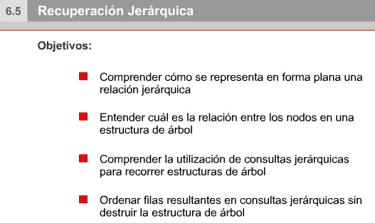 6.5 Recuperación Jerárquica 6.5.1 Objetivos Cuando una tabla contiene datos relacionados jerárquicamente, es posible seleccionar filas en un orden jerárquico.