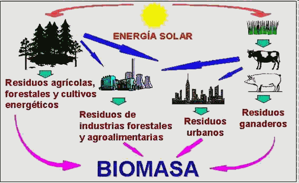 Energía De La Biomasa La biomasa es cualquier material de tipo orgánico proveniente de seres vivos que puede utilizarse para producir energía.