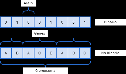 1.3.1.1 Codificación Todos los organismos que se conocen están compuestos por una o más células, cada una de ellas contiene a su vez uno o más cromosomas.