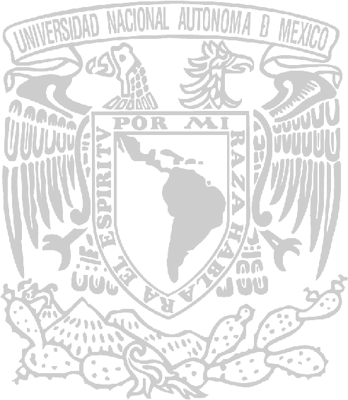 UNIVERSIDAD NACIONAL AUTÓNOMA DE MÉXICO DIRECCIÓN GENERAL DE CÓMPUTO Y DE TECNOLOGÍAS DE INFORMACIÓN Y