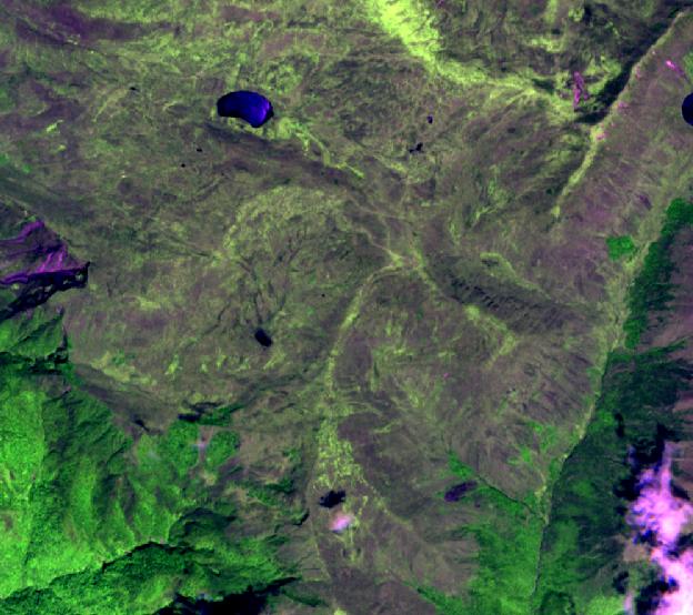 Imagen Rapideye combinación 5-3-1 Diagrama de temperatura vs precipitación Concepto: este ecosistema abarca la mayor extensión de los ecosistemas de montaña en el Ecuador; se extiende a lo largo de
