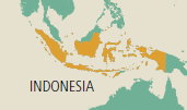Caso Indonesia Población de 245 millones de habitantes distribuidos en un área geográfica compuesta por 17.000 islas y baja bancarización.