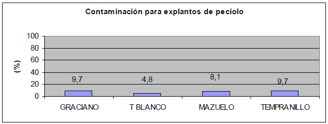 En la figura 5 y la tabla 8 se muestran los porcentajes de infección obtenidos para las distintas variedades, siguiendo el protocolo 1 de la tabla 7.