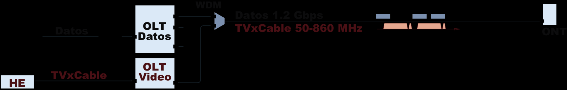 Elementos de Red Oficina Central El TxO es primer componente de la OLT de Video, su función modular la frecuencia de entrada a 1.550 nm.