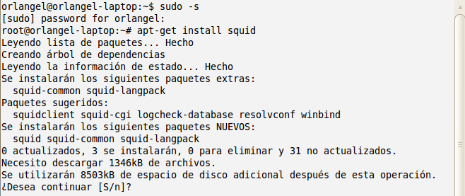 paquete desde la terminal de Linux: Apt-get install squid Después de ubicar la terminal comenzamos a introducir el comando para descargar los paquetes necesarios para la instalación de Squid.