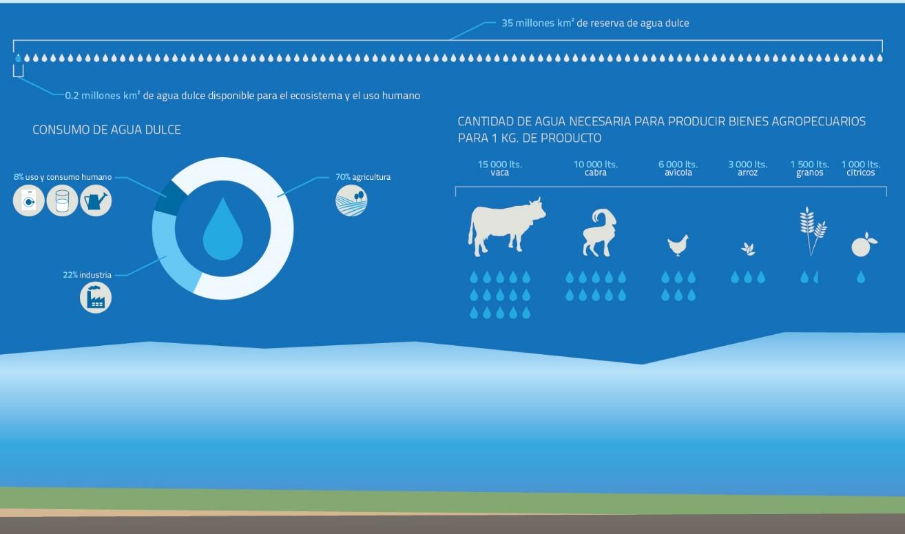 Uso del agua en el mundo El 70% del agua que se consume en el mundo es para la agricultura
