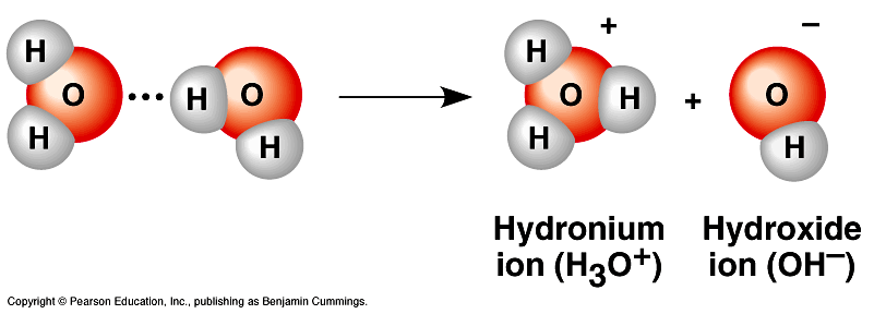IONIZACIÓN DEL AGUA En el agua líquida hay una ligera tendencia a que un átomo de hidrógeno de una molécula abandone el oxígeno al que está enlazado covalentemente y