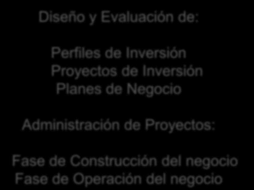 Diseño y Evaluación de: Perfiles de Inversión Proyectos de Inversión Planes de Negocio Administración de Proyectos: Fase de Construcción