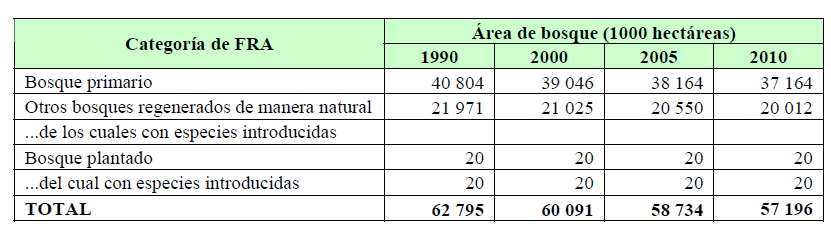 Reforestación y su impacto La tendencia en Bolivia en relación a la superficie de bosques plantados no muestra