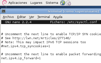 SRI UT01 Encaminamiento o Enrutamiento DNS 3. Ahora introducimos los siguientes comandos, y tendremos nuestro encaminamiento en marcha.