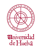 Organismos patrocinadores Organiza Grupo de Física de Líquidos Complejos Departamento de Física Aplicada Universidad de Huelva c FisEs09, 2009.