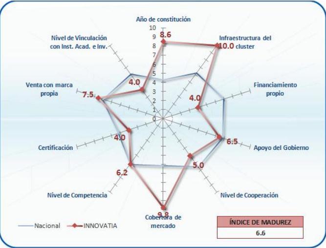 Fuente: Estudio de Competitividad de Clusters de tecnologías de Información en México, UNAM, 2008.