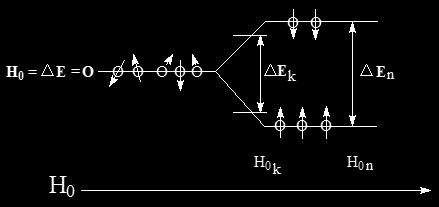 Figura 145. Orientación de espines, momentos magnéticos nucleares y distancia entre niveles de energía de los núcleos al variar la magnitud del campo magnético H 0.