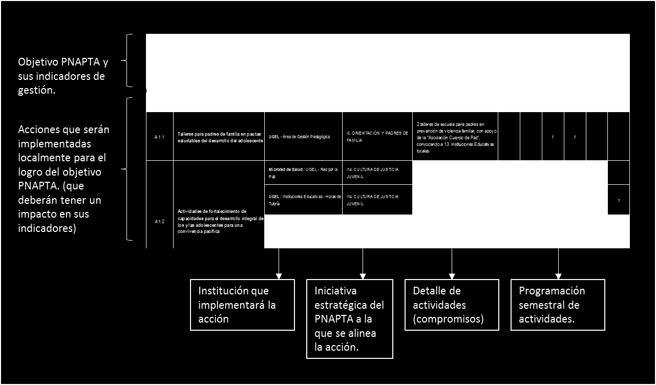 Diagrama 19: Formato de presentación POA 2014 II Semestre