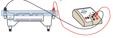 5.c) Sacar el peine que ha formado los pocillos con mucho cuidado de no romper ningún pocillo. 6.c) Proceder a la siembra del gel y llevar a cabo la electroforesis. 4.