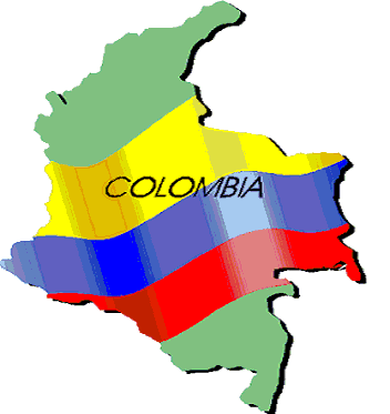 En Colombia se realizó un estudio sobre discapacidad en nueve ciudades donde se encontró que el 2,8 % de la población presentaba algún tipo de discapacidad; siendo la mas frecuente la del sistema