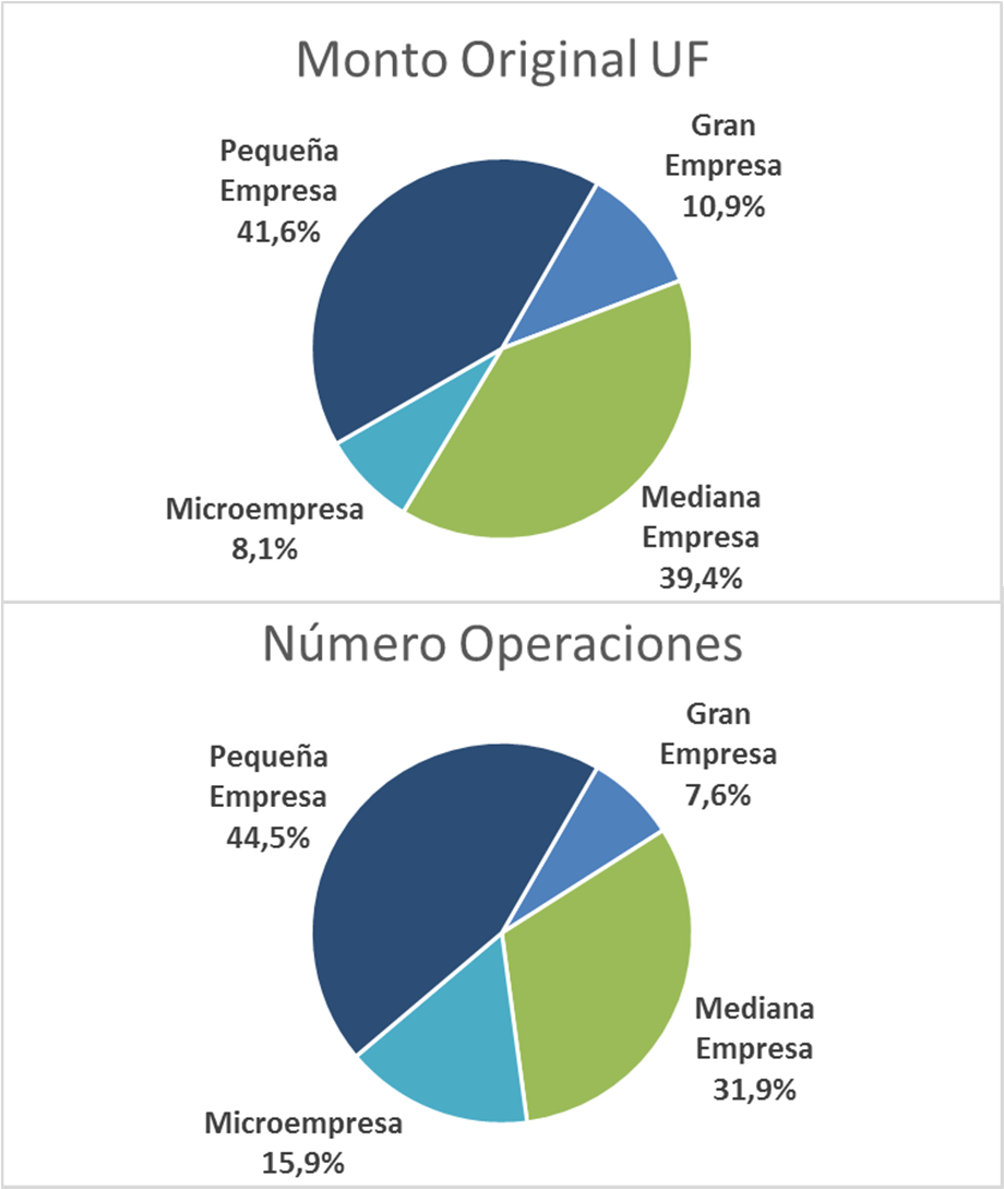 Flujo Anual Participación por tamaño de empresa Operaciones cursadas cada año Año 2012 Año 2013 Microempresa 9,3% 8,1% Pequeña Empresa 39,1% 41,6% Mediana Empresa 41,1% 39,4% Gran Empresa 10,5% 10,9%
