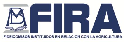 FIRA opera en segundo piso Intermediarios Financieros Bancarios Intermediarios Financieros No Bancarios Clientes: Productores agropecuarios que reciben financiamiento y