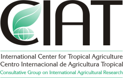 Centro Internacional de Agricultura Tropical The