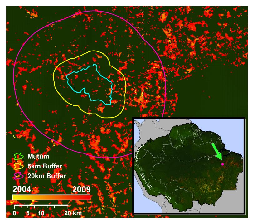 Hectáreas Monitoreo en Tiempo Real usando Redes Neuronales y Datos MODIS 10000 8000 6000 Areas con mayor amenaza de pérdida de hábitat en un área de amortiguamiento de 20km.