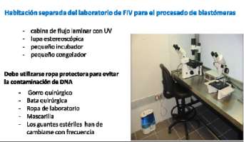 6. ANÁLISIS GENÉTICO. 6.1. PREPARACIÓN DE LOS BLASTÓMEROS. 6.1.1. Fijación de blastómeros para hibridación in situ fluorescente (FISH).