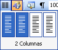 Curso Word Básico 2003 Unidad 7 Columnas en la Barra de Herramientas Es una aplicación sencilla para separar en cuatro columnas como máximo.