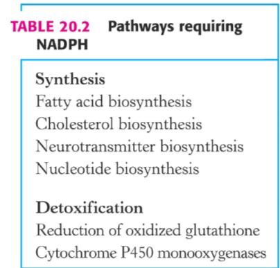 El NADPH se utiliza para muchísimas reacciones biosintéticas que necesitan de un reductor. Síntesis de ácidos grasos, colesterol, neurotransmisores y nucleótidos; y detoxificación.